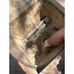 Tree-roots-in-stormwater-drain-in-Glen-Eahles
