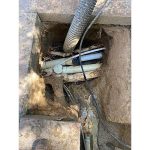Tree-roots-surrounding-a-brokem-stormwater-drain-in-Glen-Eagles