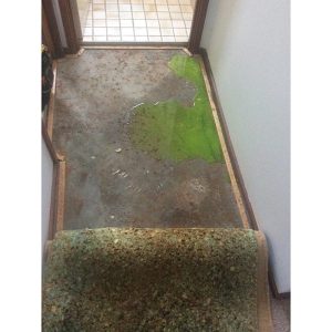 Die leaking through wall from Canberra shower Caused by water proofing