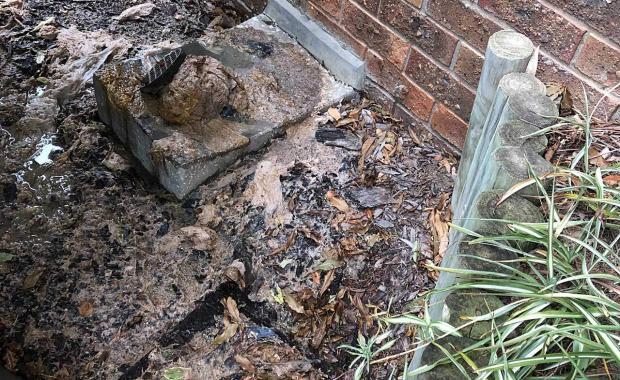 overflowing toilet paper sewerage canberra home