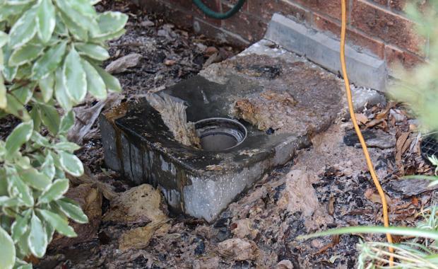 toilet paper overflowing from a house drain