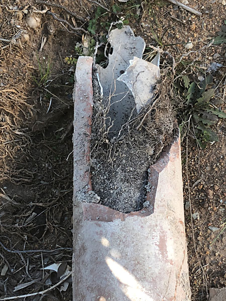previously repaired stormwater pipe blocked with tree roots in Canberra