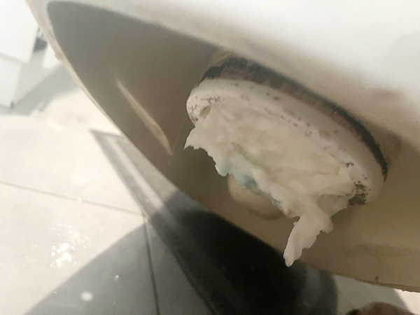 toilet paper blocking toilet waste