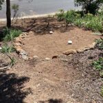 Relandscaping after plumbing drainage repairs in Macgregor Belconnen The best plumbers will relandscape