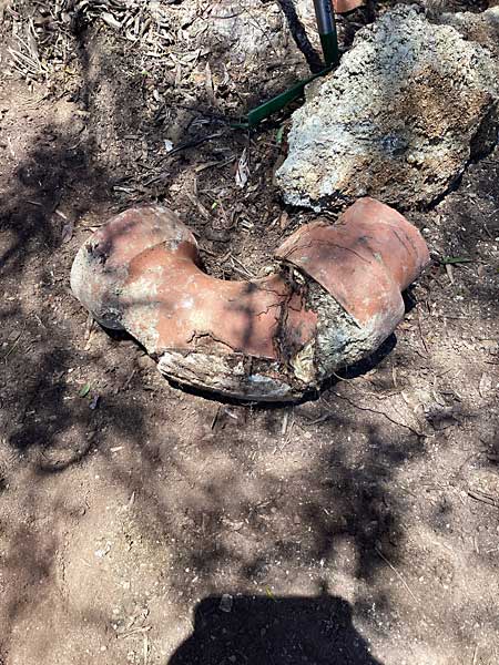 Tree roots blocking sewerage drain in Macgregor Belconnen Outside of drain showing tree root entry points and old repairs