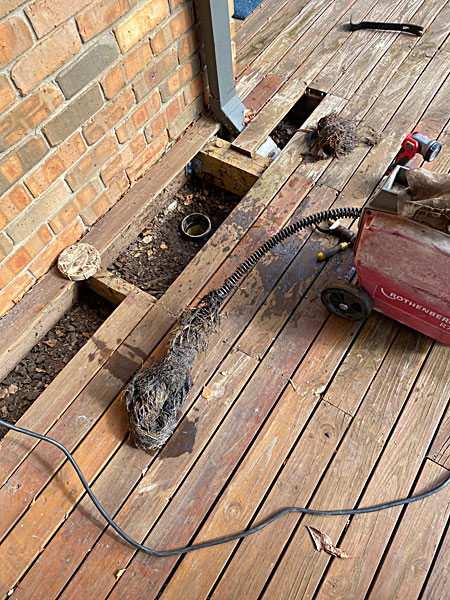 mass of tree roots on eel cable in Canberra