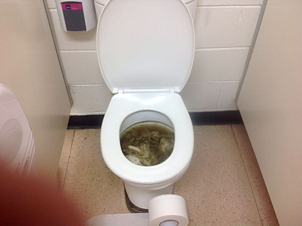Emergency blocked toilet in Reid