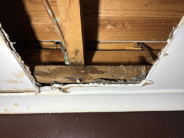 Possible termites near-damp-timber-Water-leak locating Belconnen